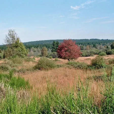 Bienenhaus 2